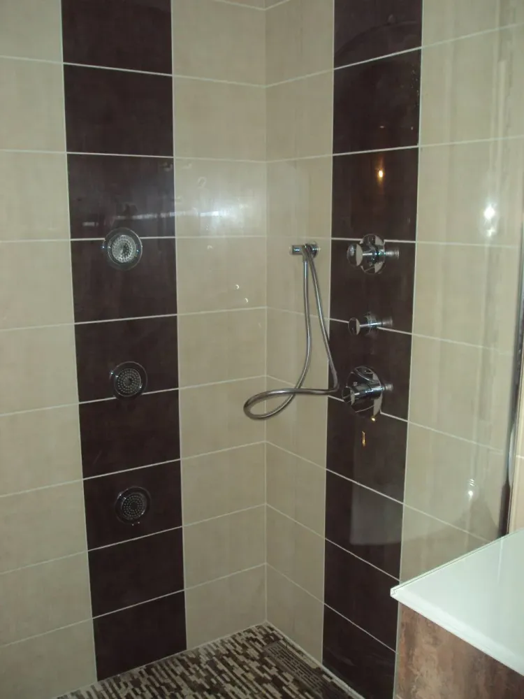  Salle de Bain Sanitaires (28)